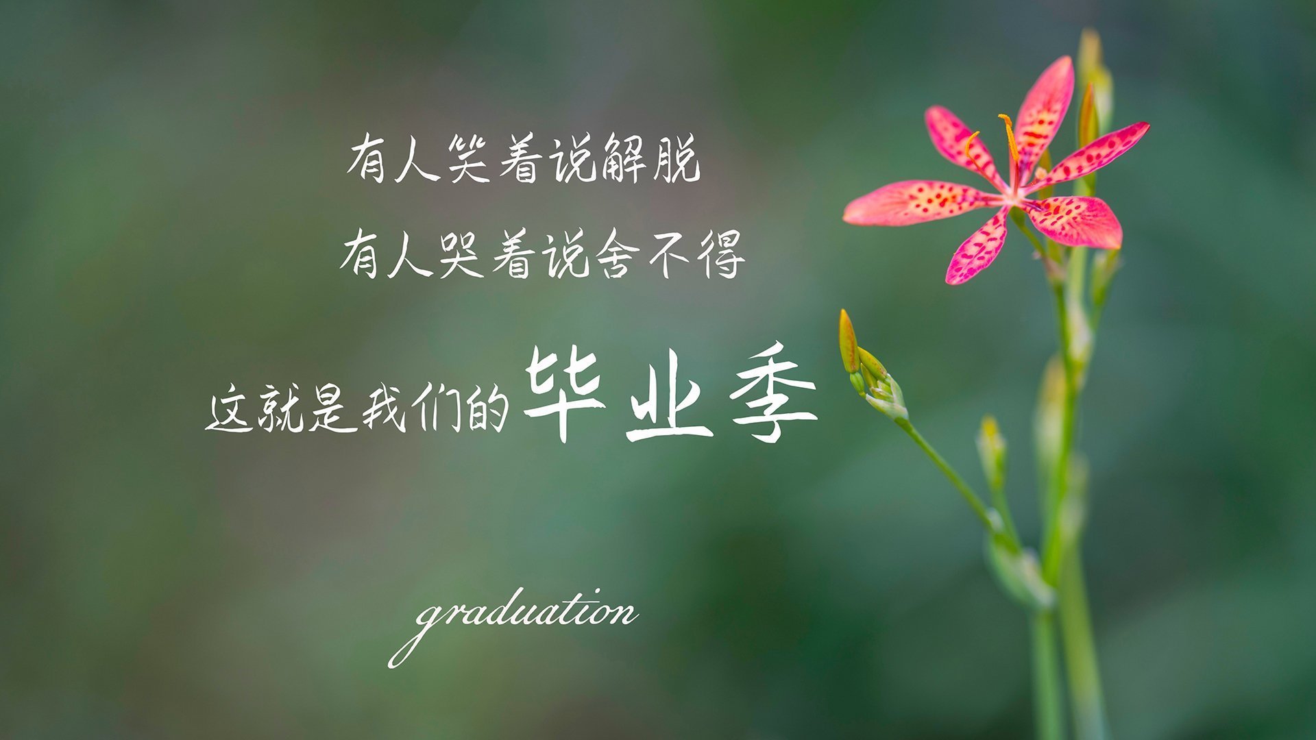 开云·体育官网-史上最快两双：蒂伊在对阵掘金的比赛中，仅用28分钟完成！