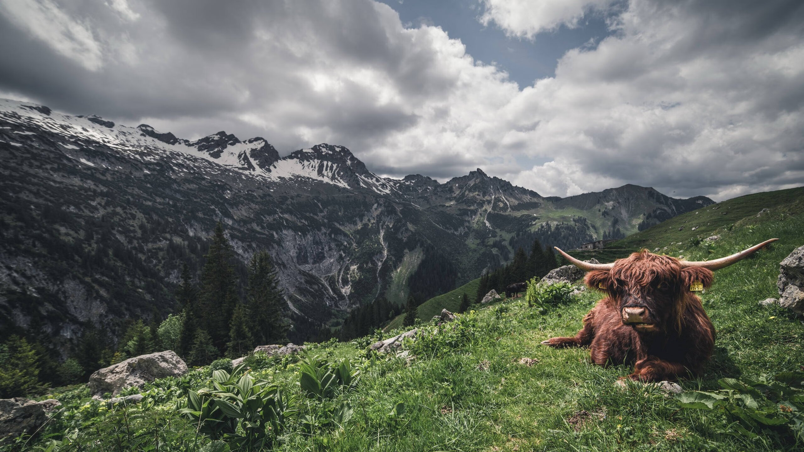 kaiyun登录入口-篮球青少年赛事积分管理系统优化，篮球积分赛表格规范格式