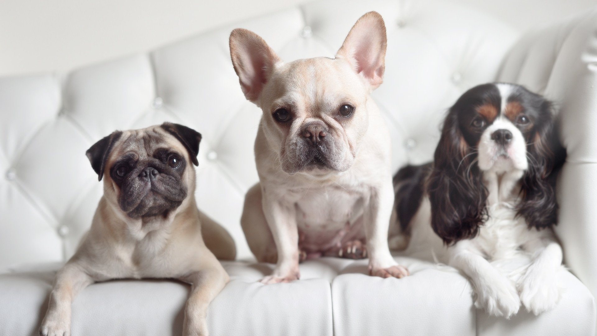 高山峡谷漂流，急流中飞跃的极限体验，高山峡谷漂流在哪
