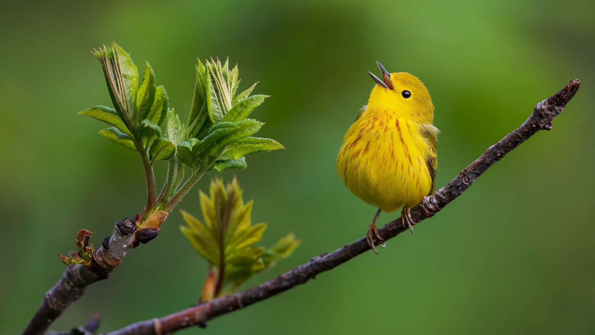 开云中国-BLG战队与省级体育局达成共建电竞训练体系协议，blg战队成员全是中国人吗
