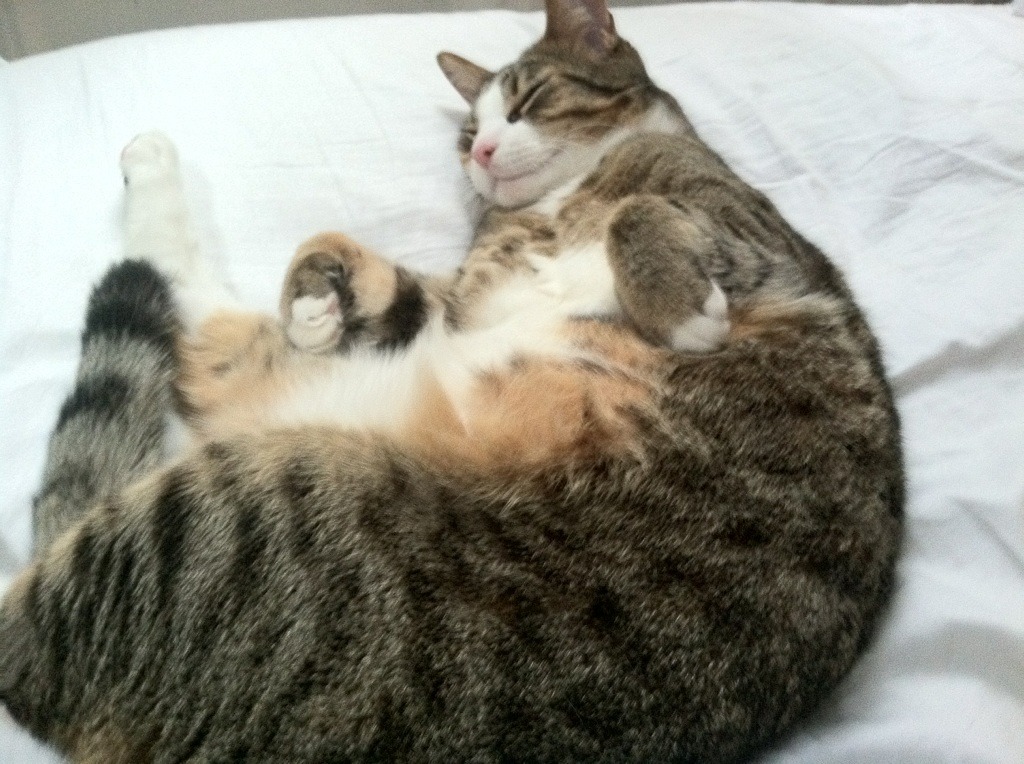 乌拉圭男足在巴黎奥运会比赛中表现出色，赢得奖品，乌拉圭男足名单