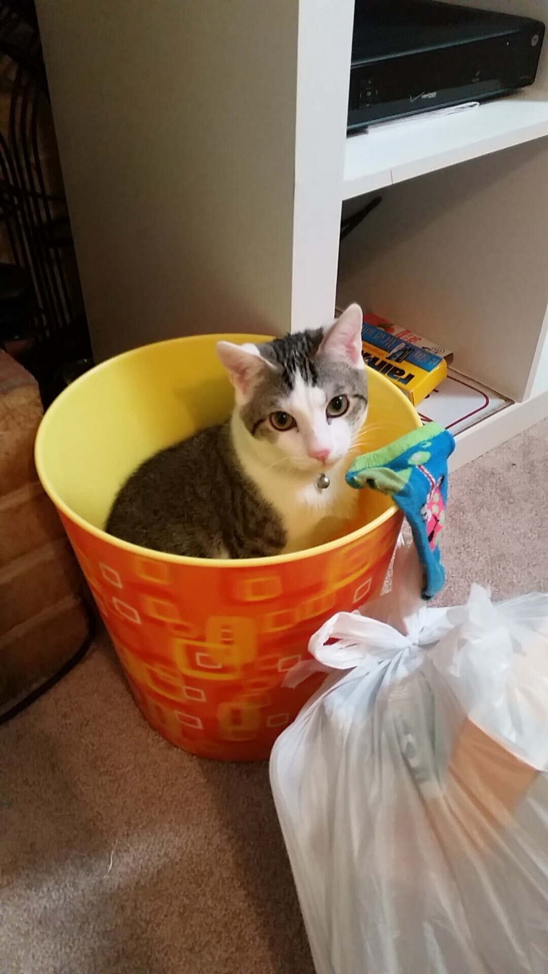 利物浦中场轮换对进攻节奏有何影响,利物浦历史十大中场