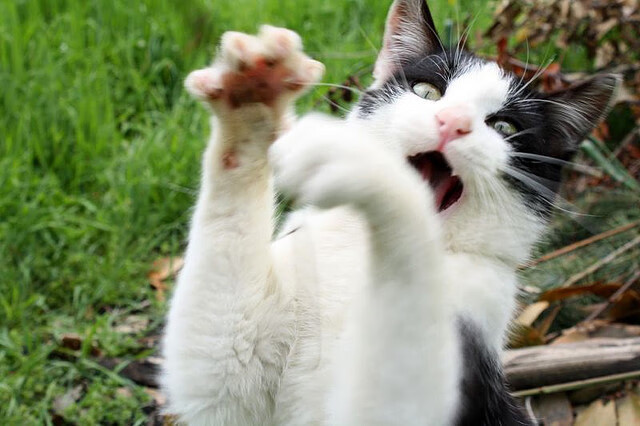 北京国安俱乐部续约重要赞助商,北京国安俱乐部有限公司