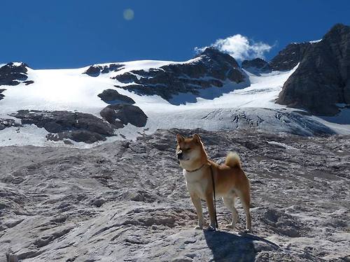 奥格斯堡客场逆转战胜对手,保持不败战绩,奥格斯堡官网