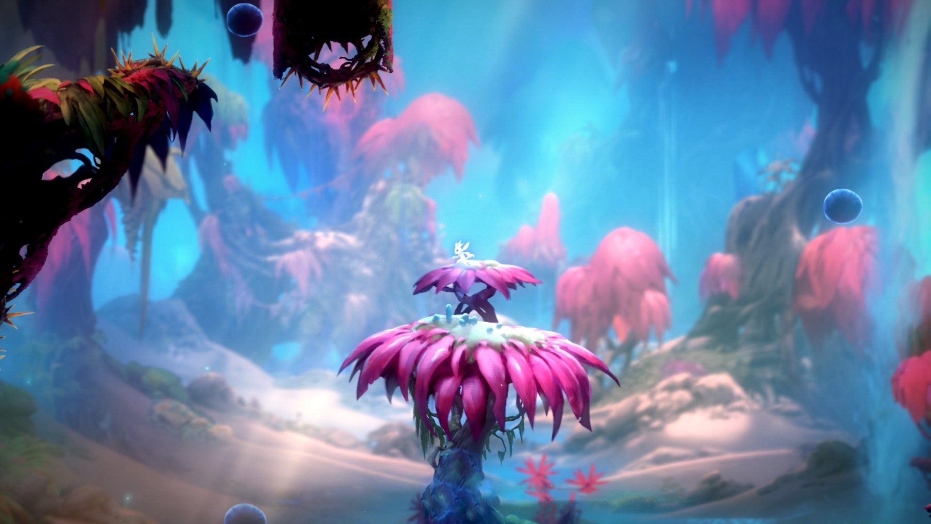 山西汾酒体能训练成果显著，山西汾酒俱乐部