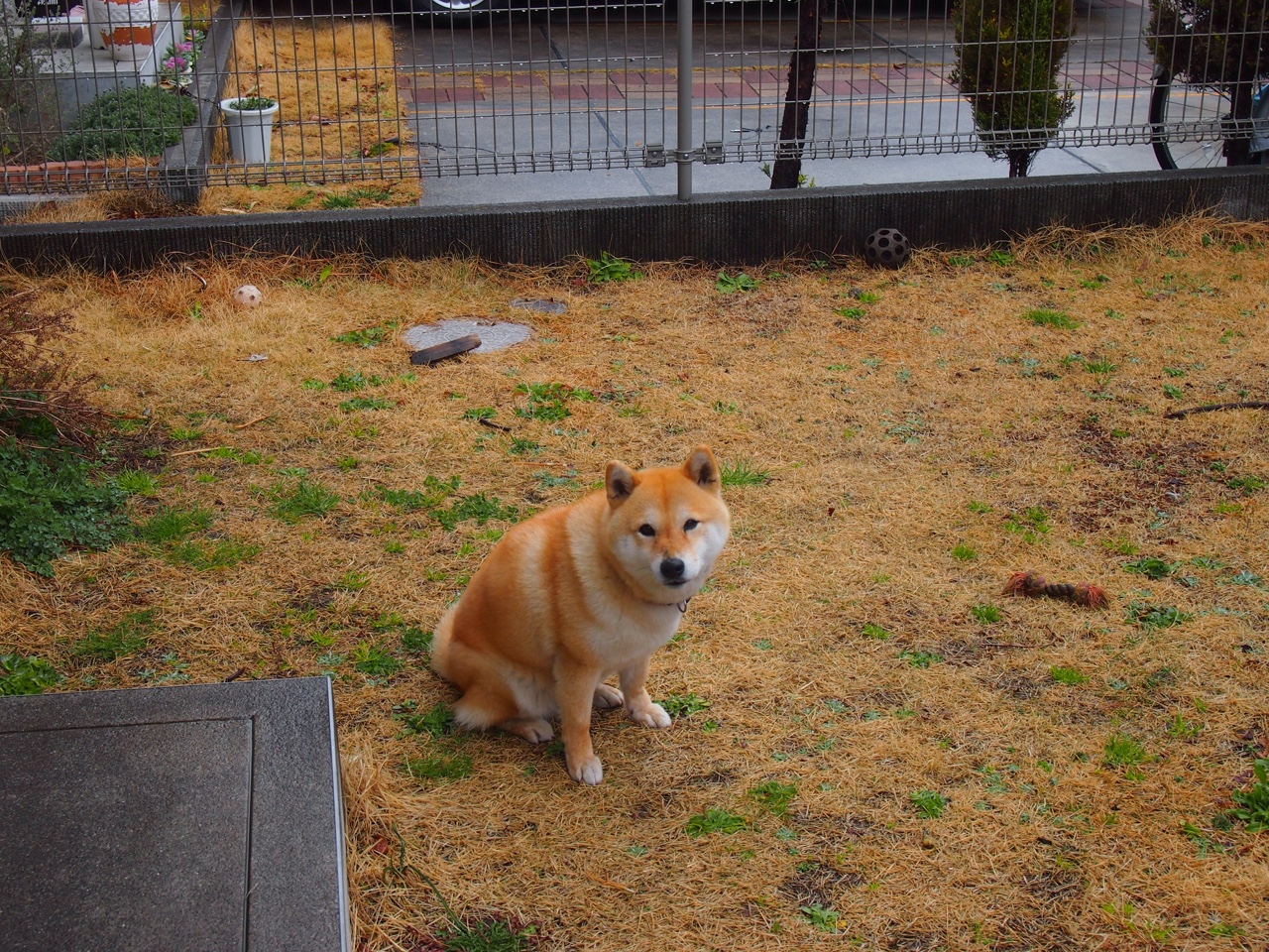 kaiyun官方网站-德甲豪门遭遇连败，球队状态堪忧，德甲豪门有哪些球队