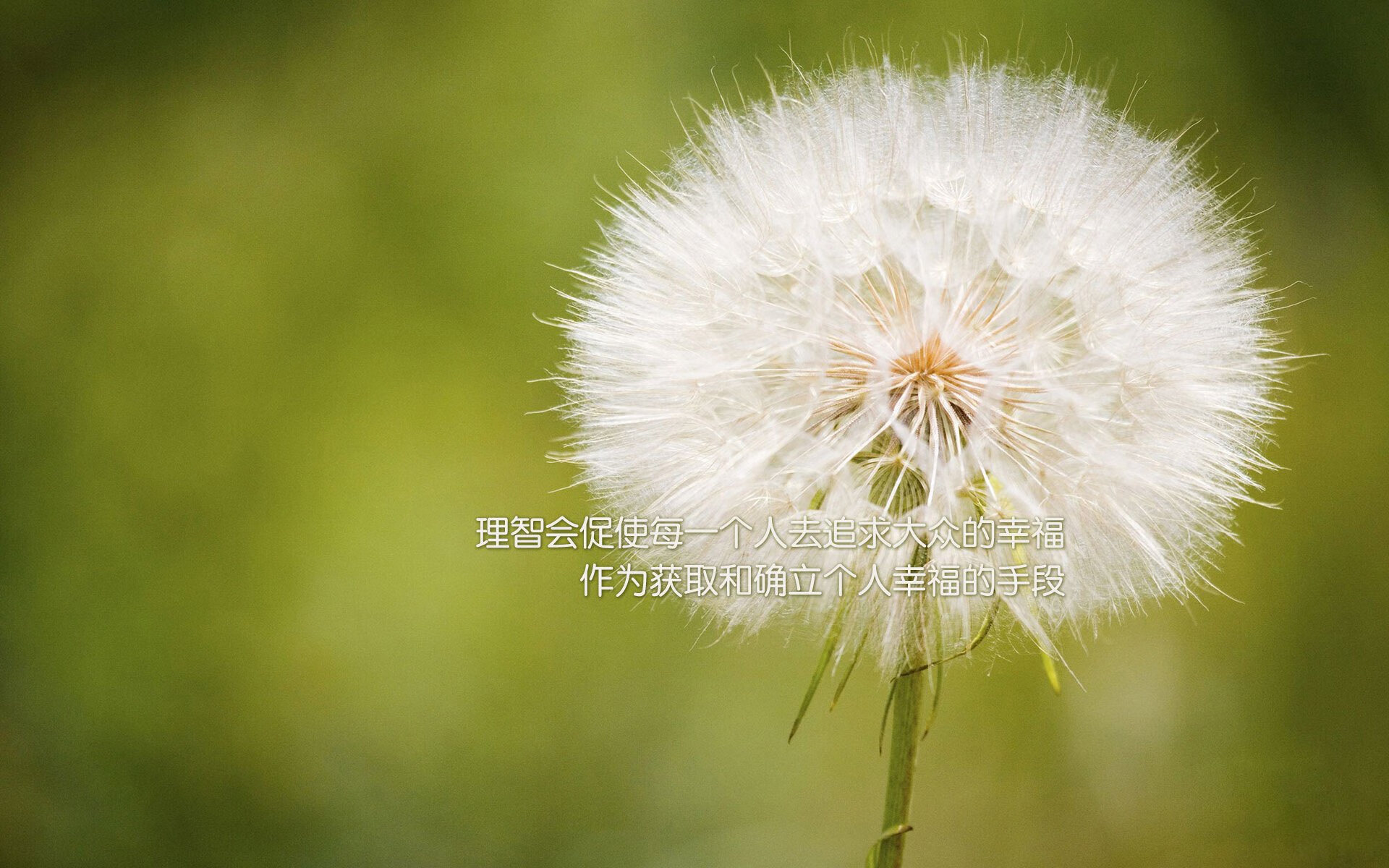 kaiyun中国官方网站-拉塞尔在篮网队客场击败步行者队，拉塞尔篮网赛季集锦