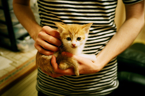 智利女足队以不屈毅力，克服困难，智利女足ⅴs日本女足