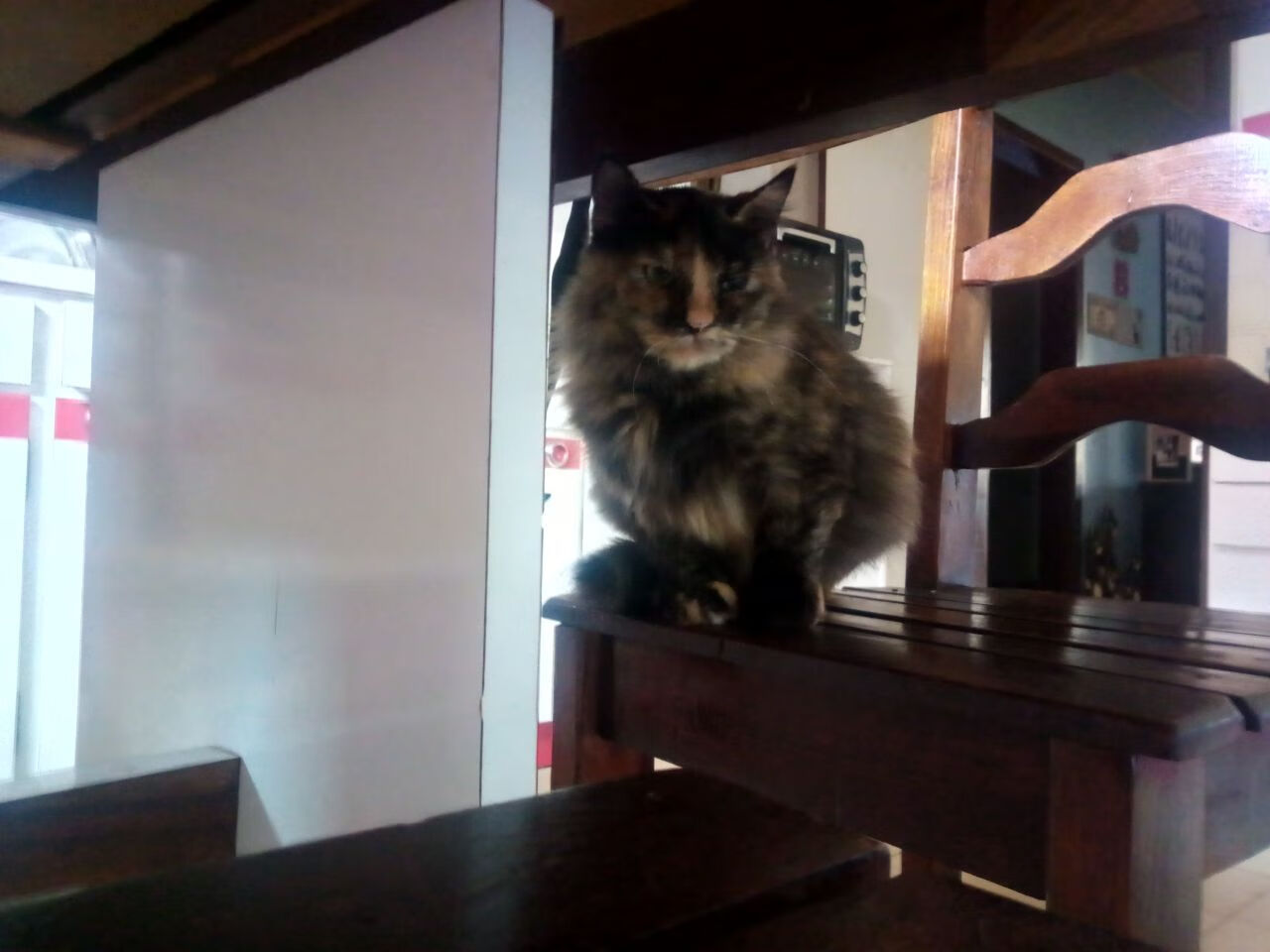 篮球运动员身体恢复技术创新,篮球运动员的疲劳与恢复