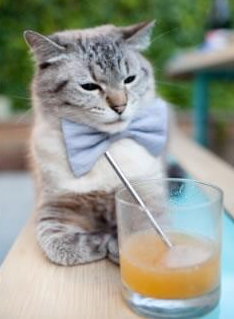 KAIYUN 中国大陆-葡萄牙客场逼平匈牙利，晋级局势稍显尴尬，萄葡牙对匈牙利