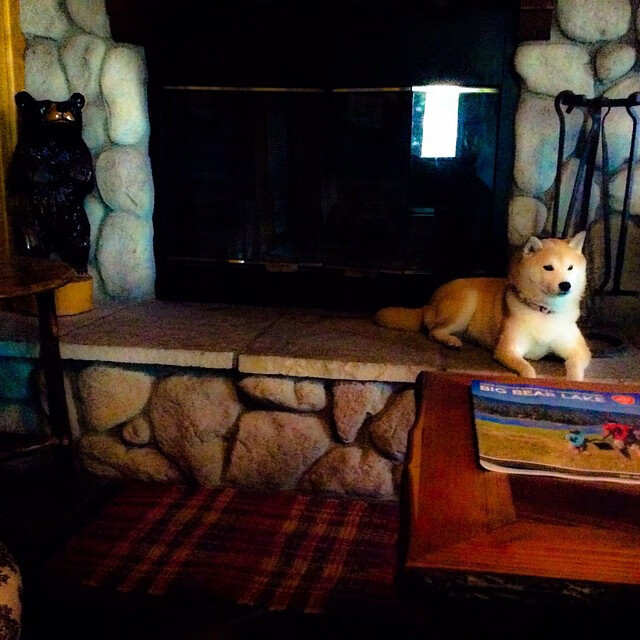 非洲联赛：强队崭露头角势不可挡，非洲国家联赛