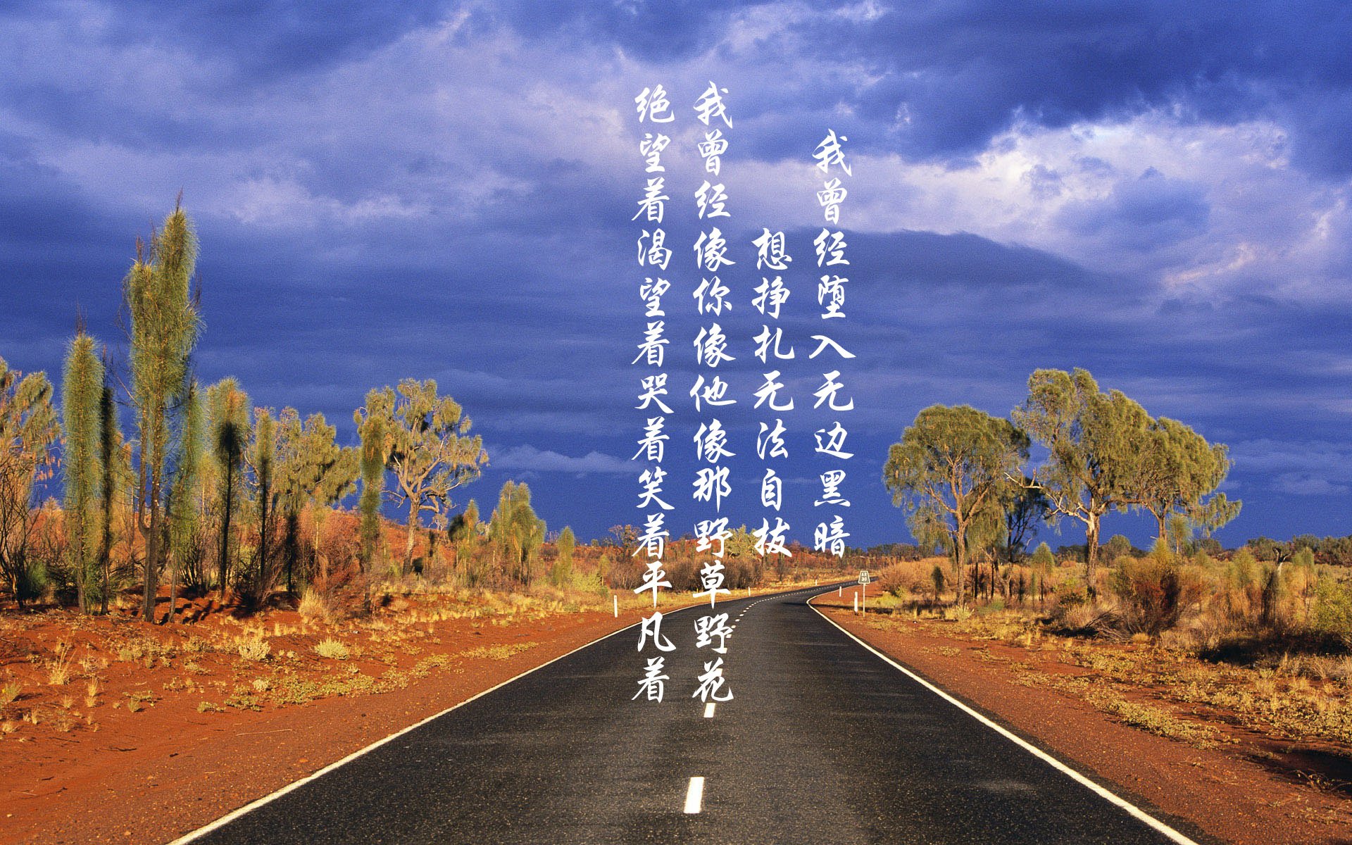 中国篮球青训体系课程改革与教学质量提升,篮球青训训练内容