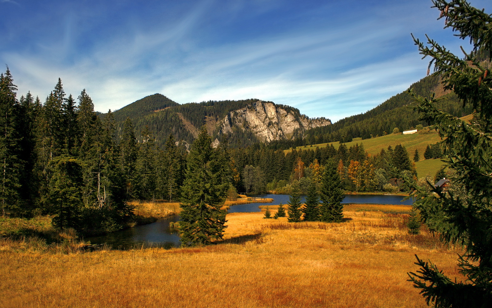 体育赛事运营中的品牌建设策略研究,体育赛事品牌价值