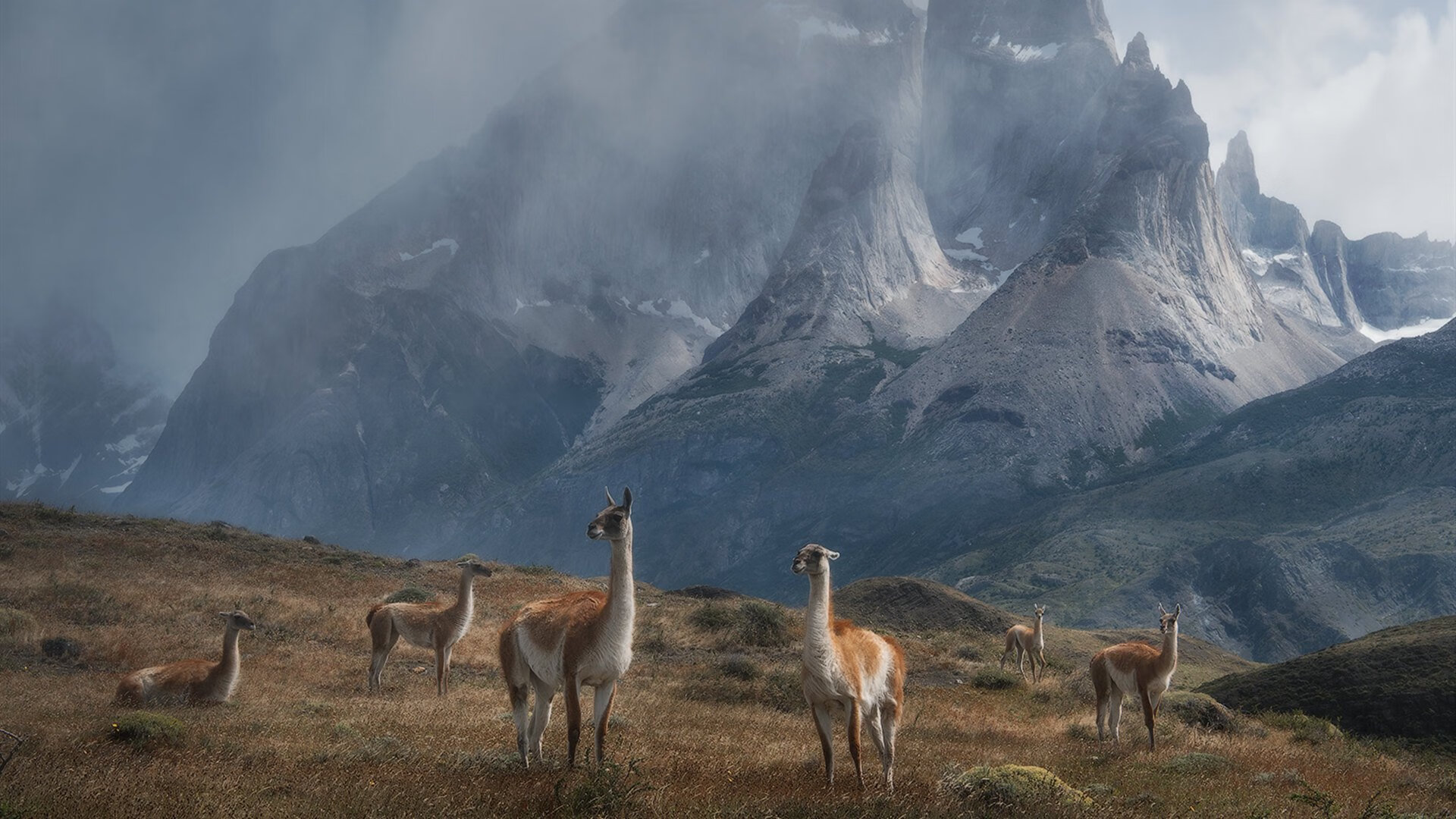 开云体育-青少年运动兴趣培养方案，青少年运动兴趣培养方案设计