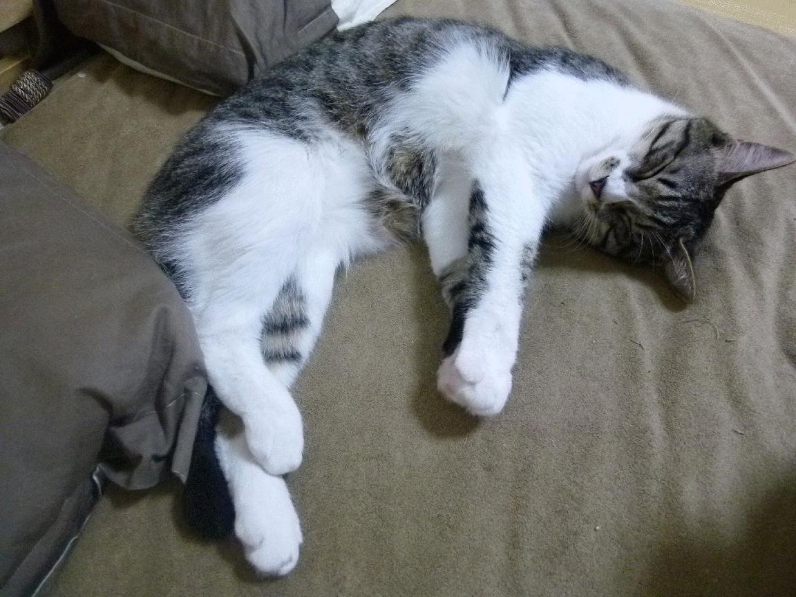 “快速、激烈,充满变化!壁球赛场在高新区全民健身馆上演极速竞技”