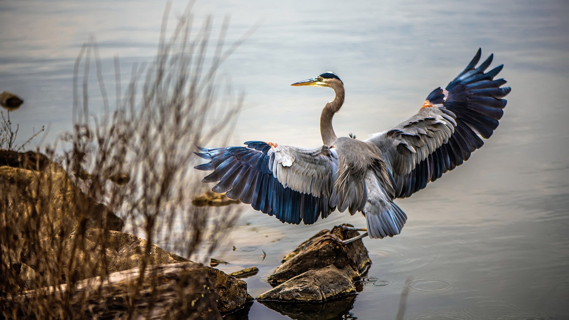世界杯小组赛焦点战 英格兰21逆转德国，世界杯2022英格兰