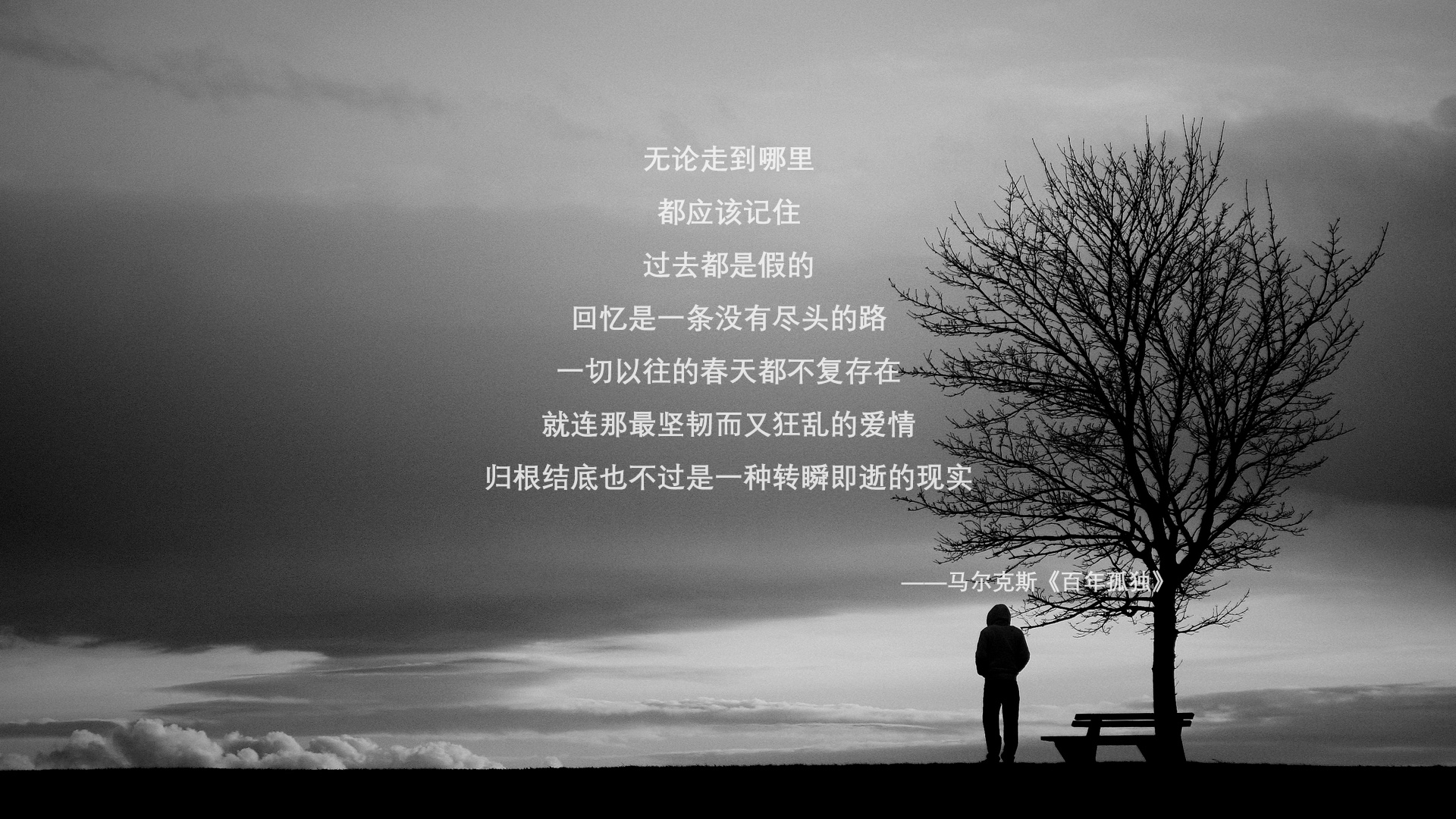 体育新闻中心推动体育赛事数据安全技术创新，体育比赛大数据分析