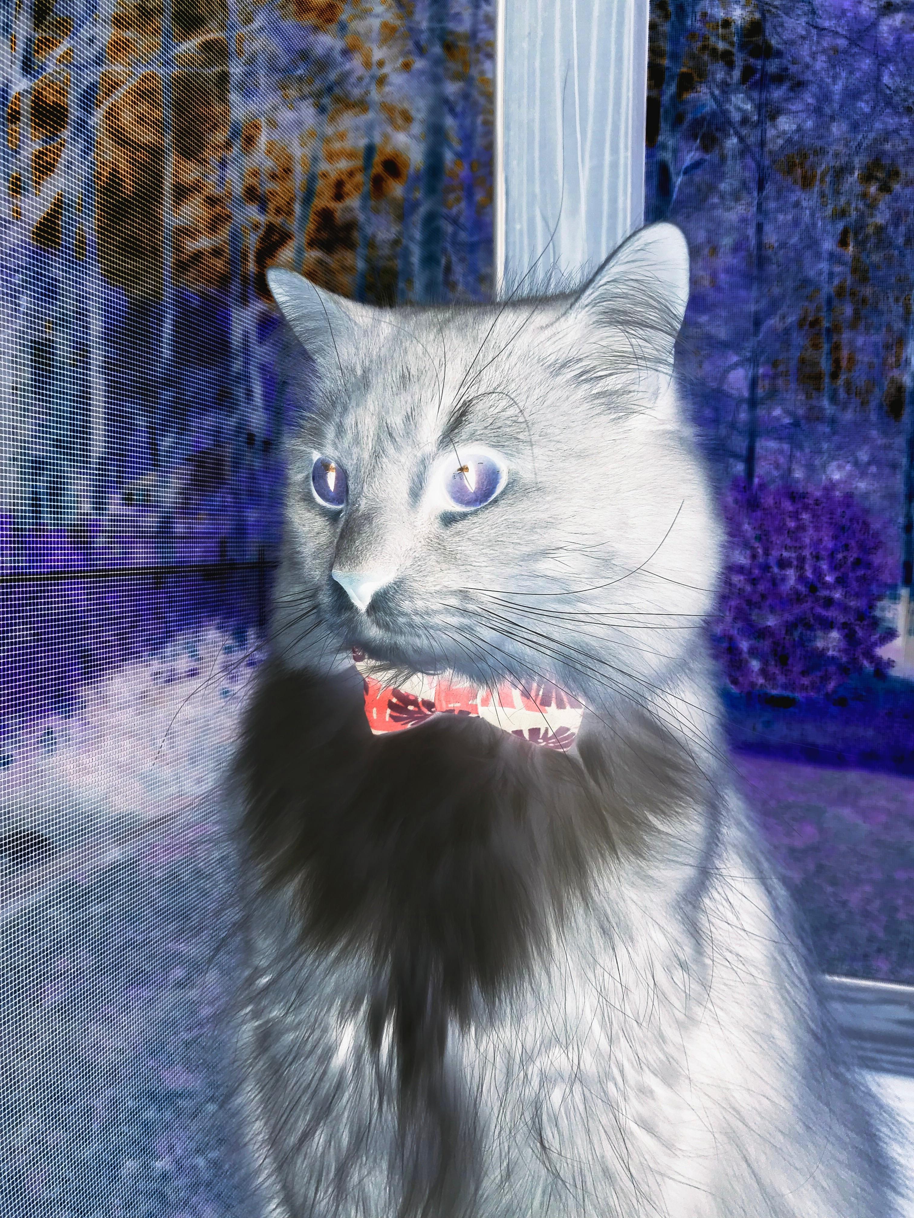 博卡在逼抢下频现传球失误,博卡vs竞技实时比分