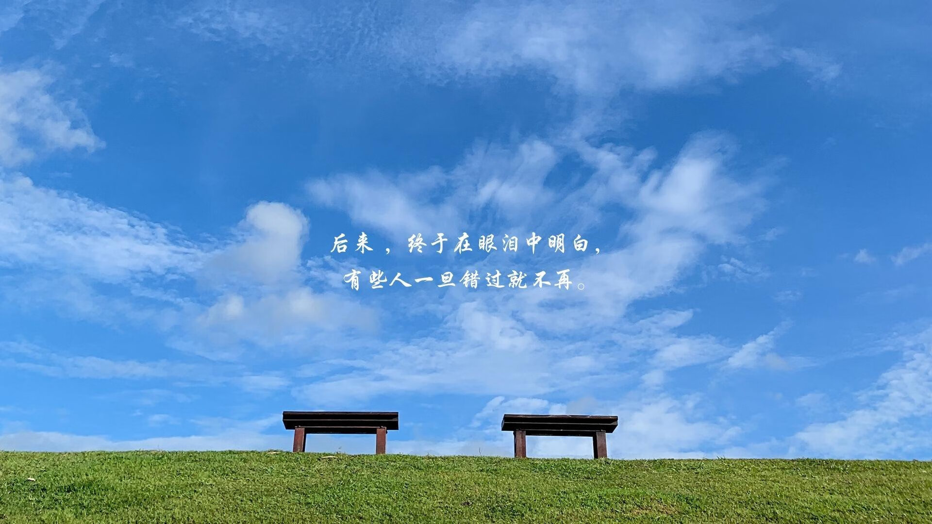 女足爆冷世界杯 球员评分引热议,女足世界杯晋级名单