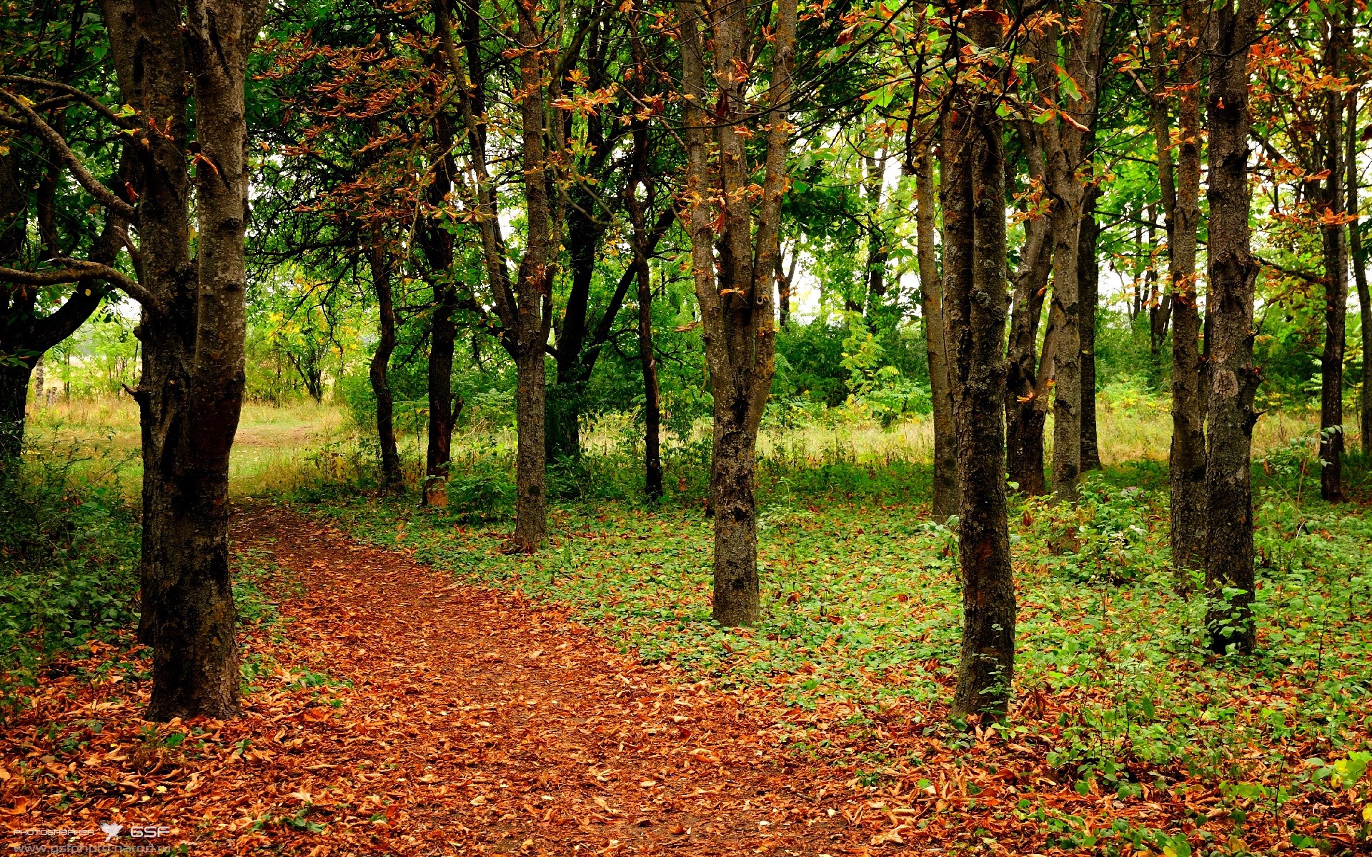 女足爆冷世界杯 球员评分引热议,女足世界杯晋级名单