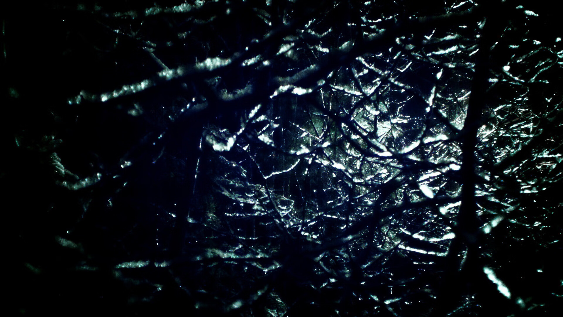 美澳选手高频换气与高强度并存