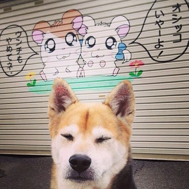 开云网页版登录入口-贾瓦迪全程表现沉稳 控场能力突出，贾瓦是什么字