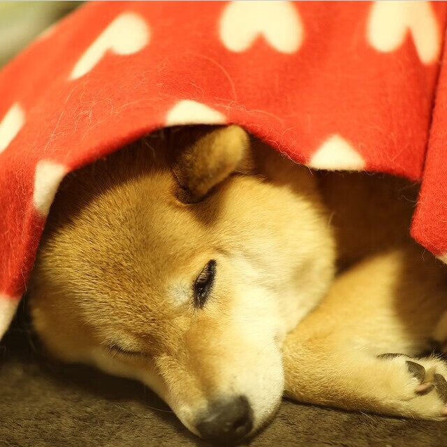 开云·Kaiyun网页版-高空球争抢成为比赛焦点双方后卫对抗激烈防守强度十足，高空球是什么